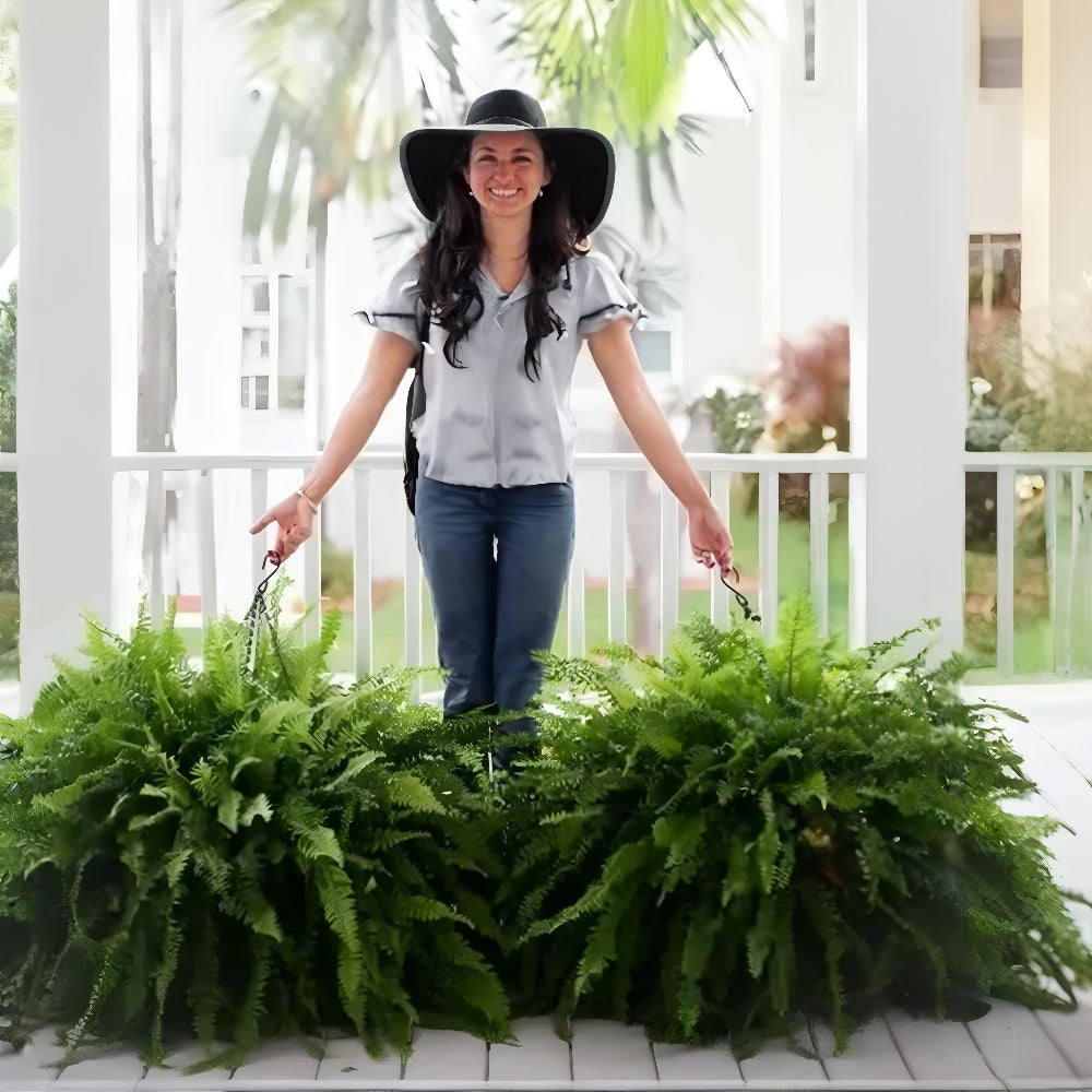 UV Resistant Artificial Boston Fern