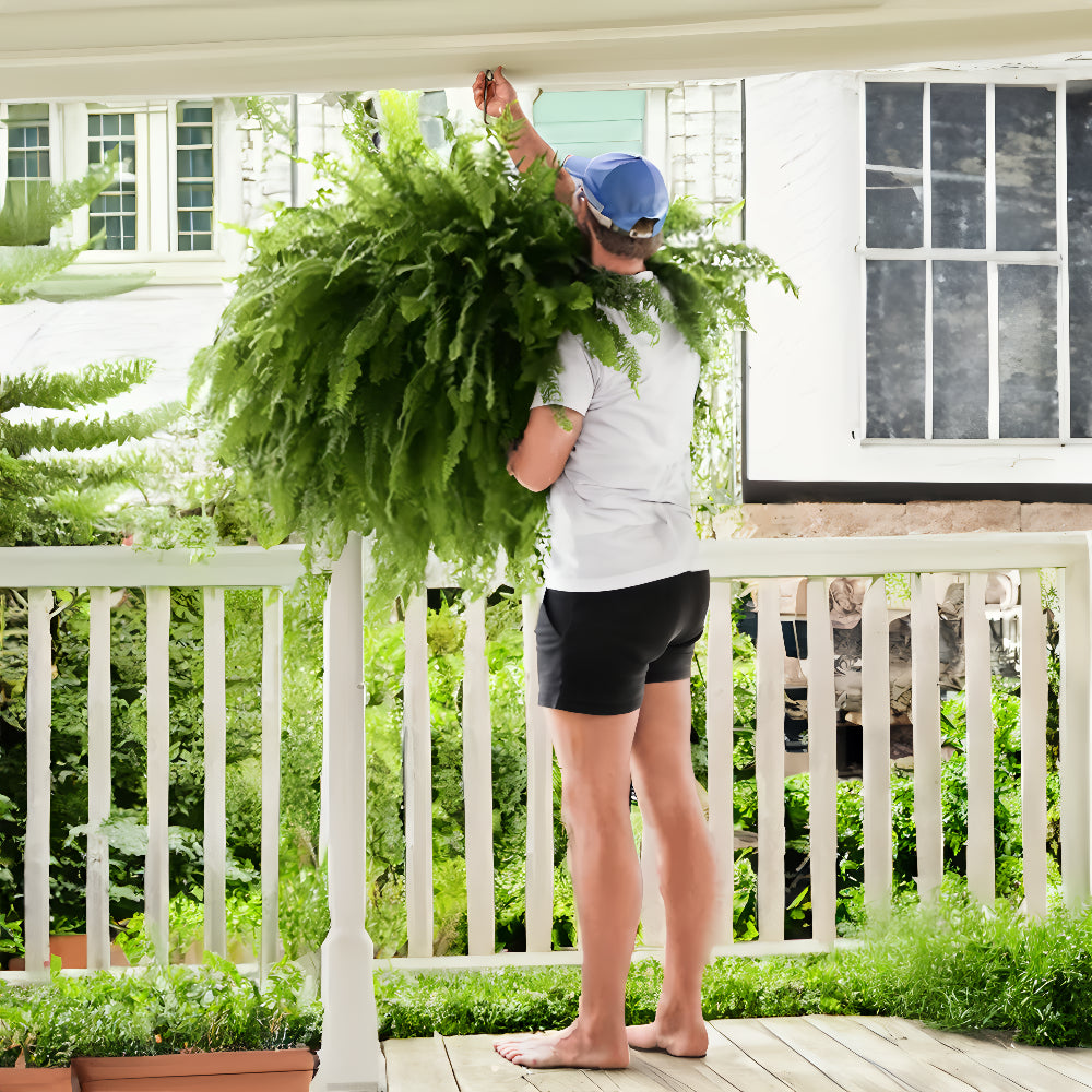 UV Resistant Artificial Boston Fern