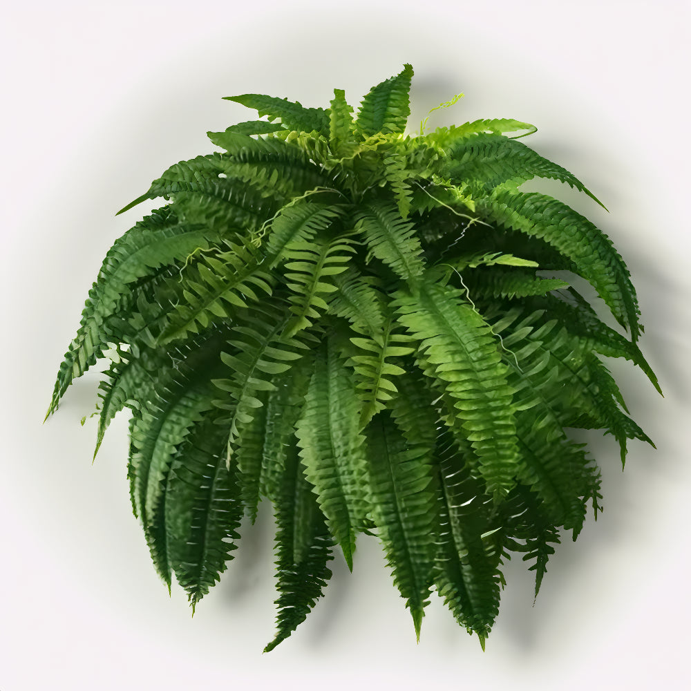 UV Resistant Artificial Boston Fern