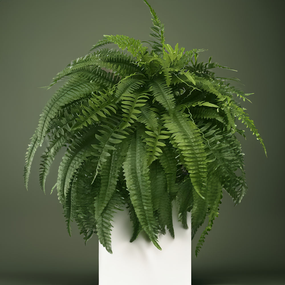 UV Resistant Artificial Boston Fern