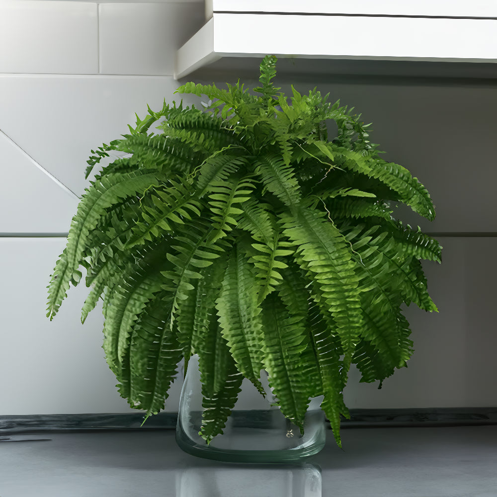 UV Resistant Artificial Boston Fern